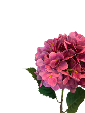 Kunstig Hortensia Stilk Real Touch Lillarød 58cm