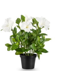 Kunstig Petunia i Potte Hvit 25cm