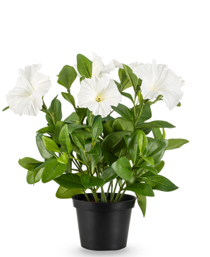 Kunstig Petunia i Potte Hvit 25cm