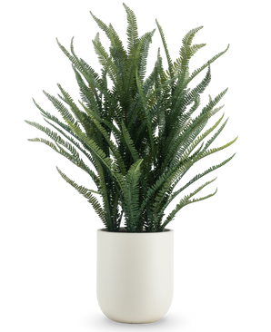 Kunstig Nestbregne i Potte Beige 49cm