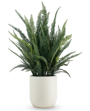 Kunstig Bregne i Potte Beige 102cm