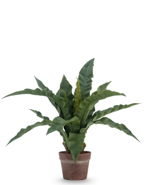 Kunstig Fuglerede Bregne i Potte 49cm