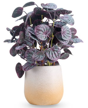 Kunstig Peperomia Caperata Lilla i Potte 31cm