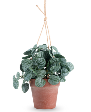 Kunstig Peperomia Busk i Hengende Potte 29cm