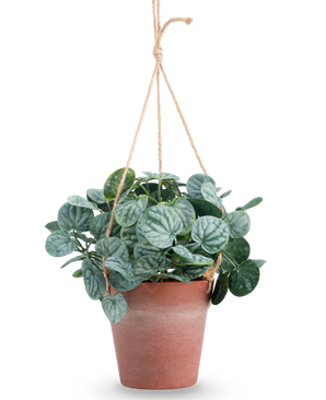 Kunstig Peperomia Busk i Hengende Potte 29cm