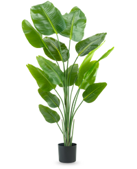 Kunstig Strelitzia Real Touch 180 cm