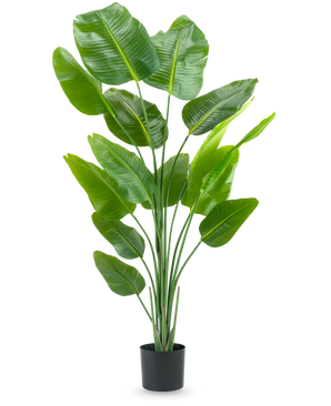 Kunstig Strelitzia Real Touch 180 cm