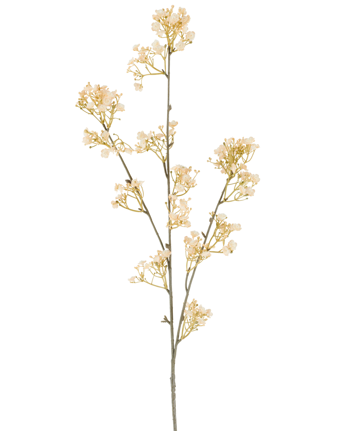 Een enkele stengel van Kunstbloem Gypso, 106 cm, crème/bruin, met kleine, sierlijke crème- en bruine bloemetjes die zich vertakken, afgezette op een witte achtergrond.