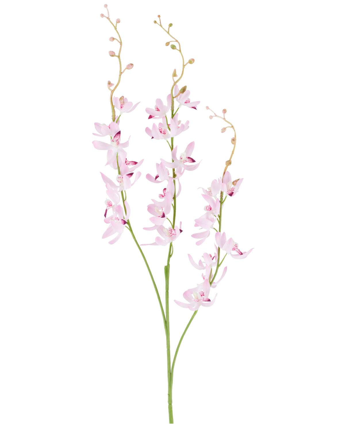 Twee groene stelen met vertakte trossen van delicate, lichtpaarse cymbidium-orchideebloemen en kleine knoppen aan dunne, gebogen takjes, afgebeeld tegen een effen witte achtergrond. Het afgebeelde product is de Kunstbloem Cymbidium 95 cm paars.