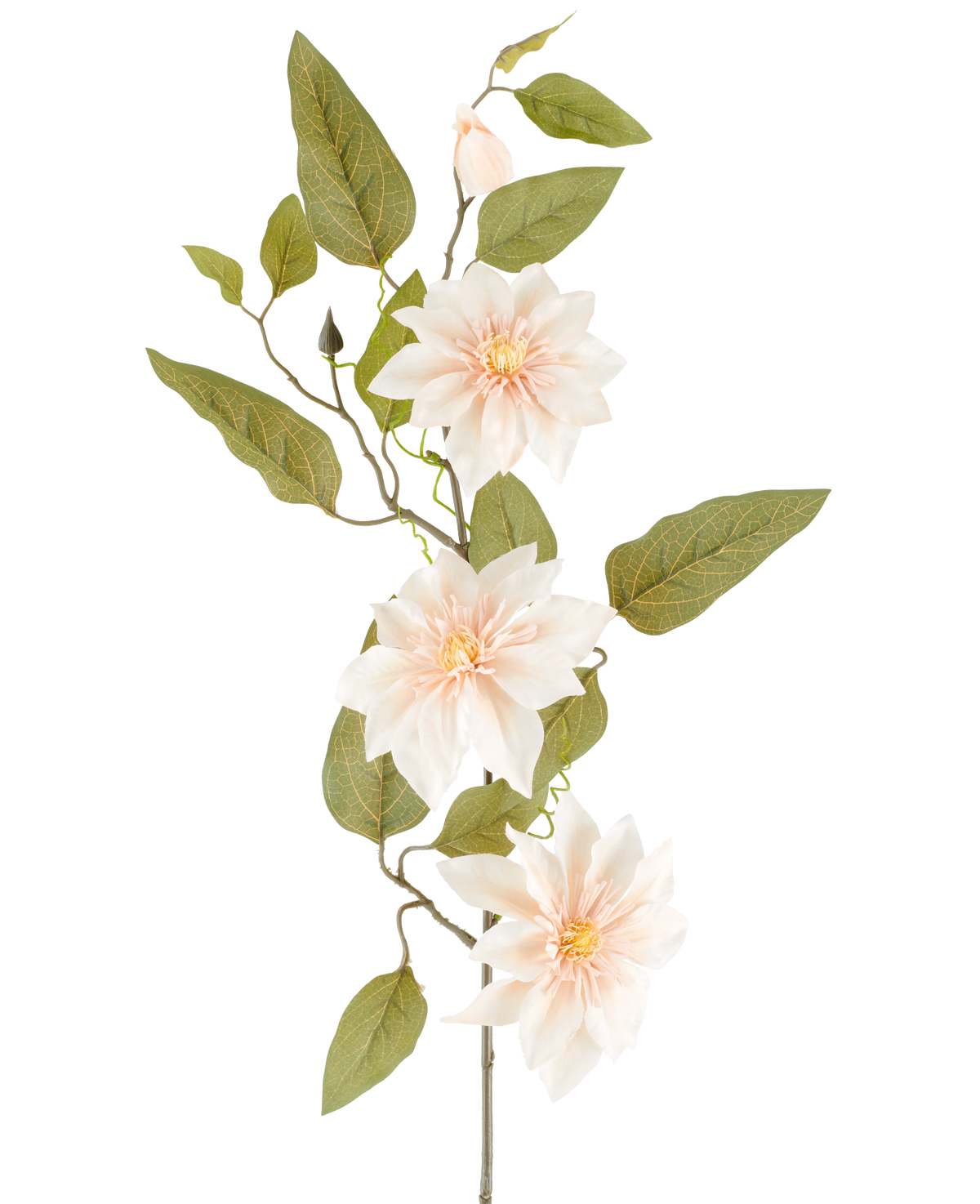 Een gedetailleerde Kunstbloem Clematis van 81 cm in de kleur ‘oud crème’ bestaat uit drie lichtroze bloemen, diverse groene bladeren en enkele knoppen, tegen een effen witte achtergrond.
