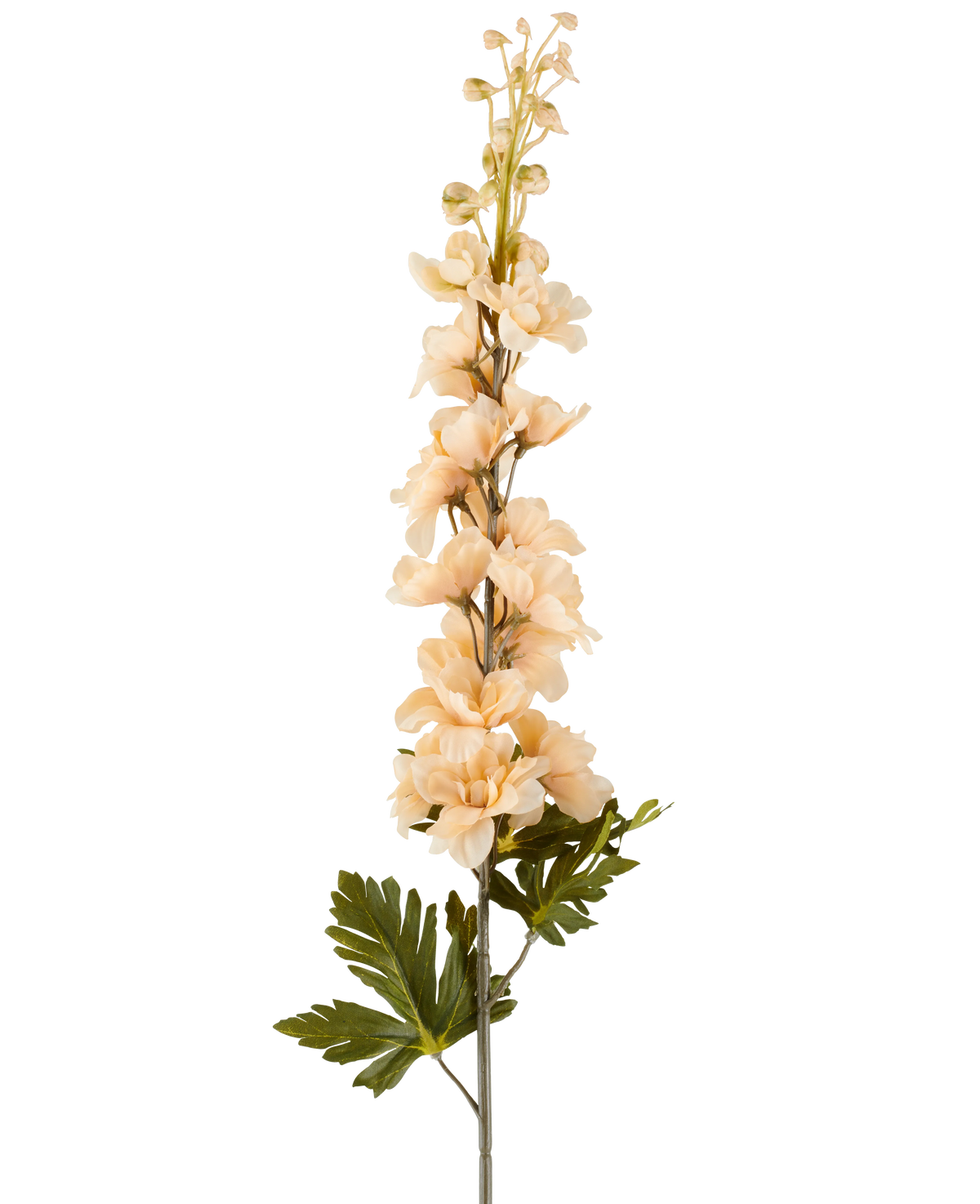 Een enkele stengel Kunstbloem Delphinium 79 cm crème/bruin, met meerdere crèmekleurige en bruine bloesems en groene bladeren, afgebeeld tegen een witte achtergrond.