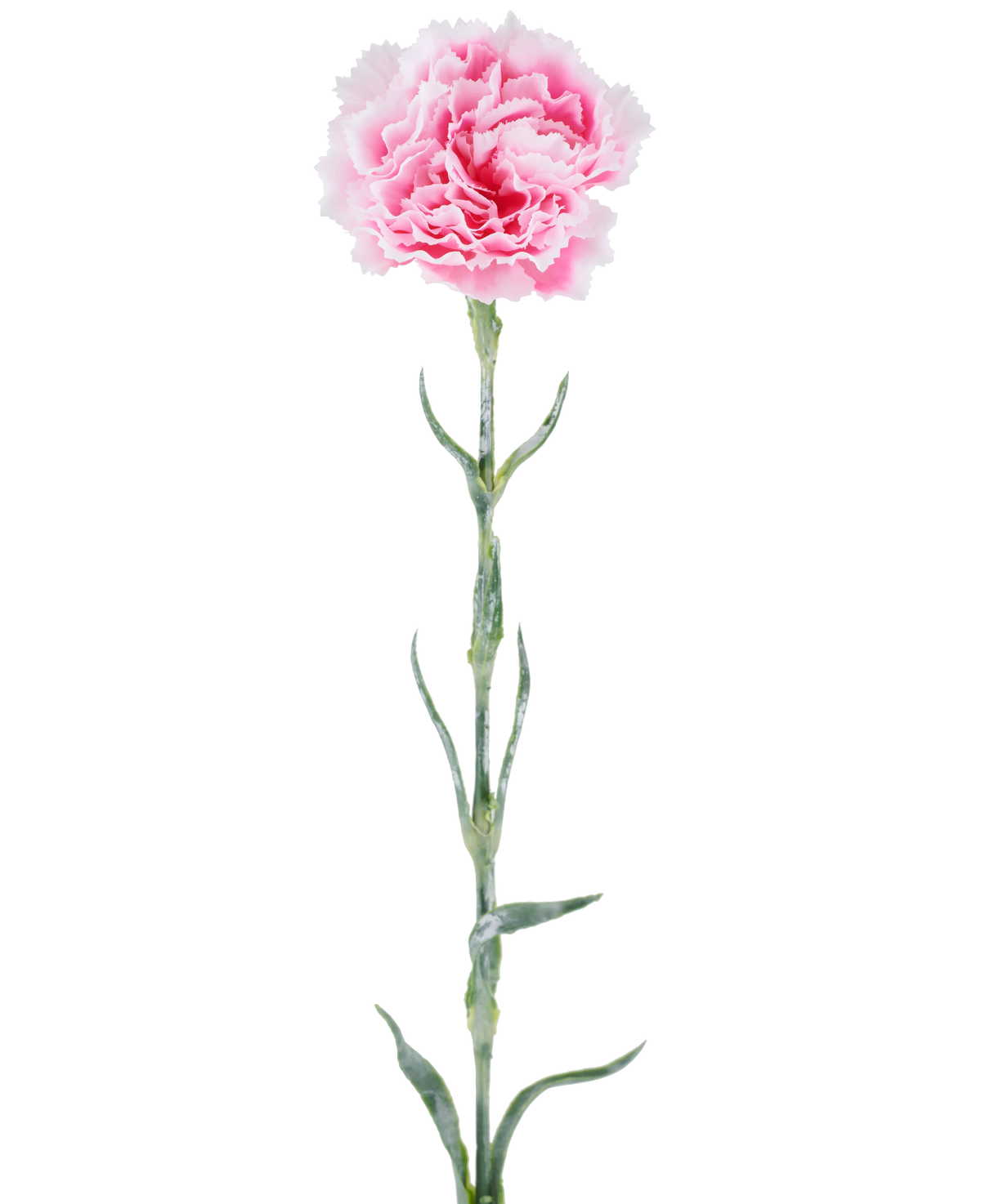 Kunstbloem: anjer van 68 cm, roze, met gegolfde roze bloemblaadjes aan een lange groene steel, geïsoleerd tegen een witte achtergrond.