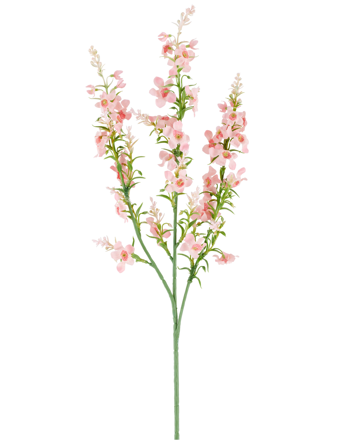 Een enkele groene stengel met meerdere takken draagt trossen kleine, delicate, lichtroze Kunstbloem Catmint 75 cm roze bloemen en groene bladeren, afgebeeld tegen een effen witte achtergrond.