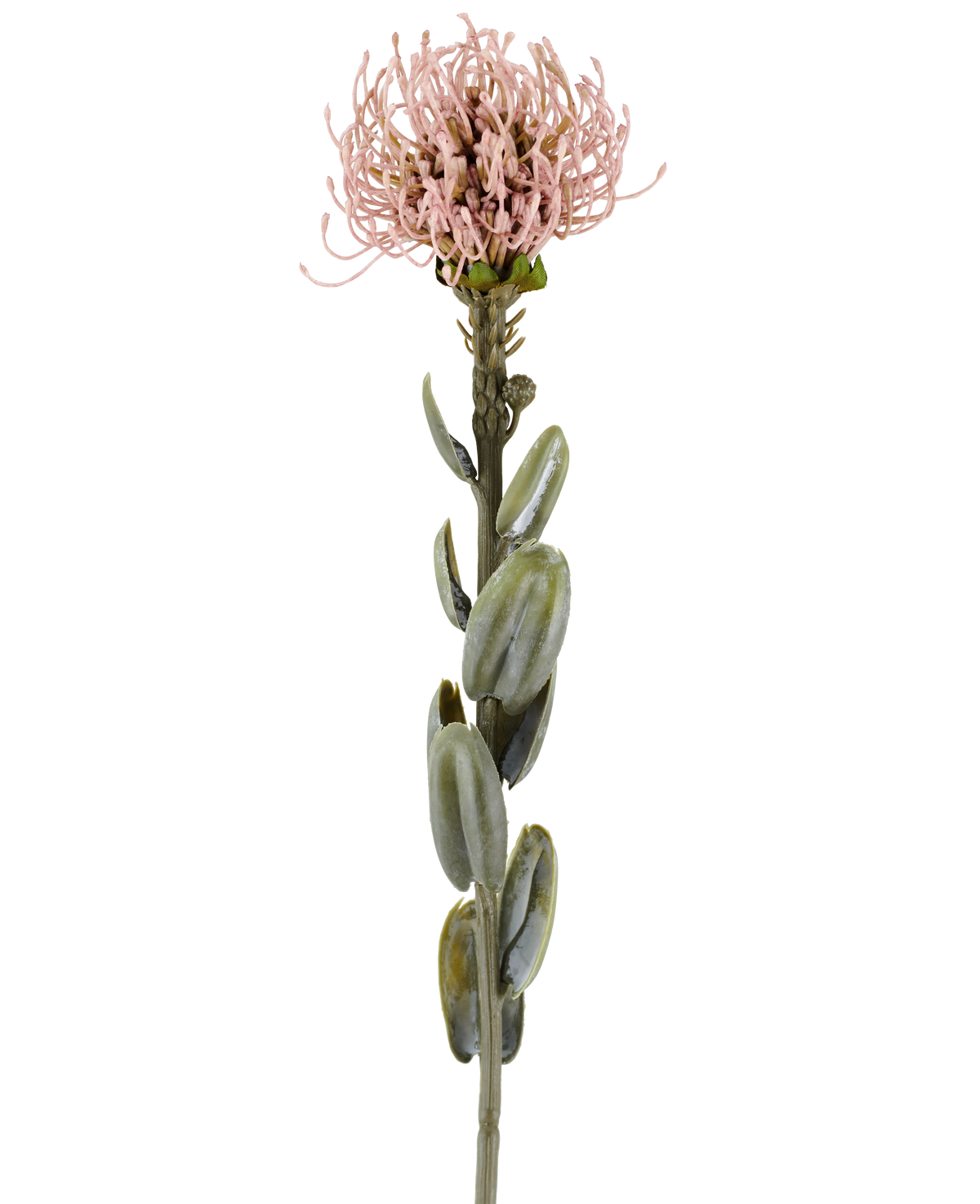Een enkele stengel van de Kunstbloem Protea 61 cm mauve, met ovale groene bladeren en een ronde, stekelige licht mauve-roze bloem aan de top, afgebeeld tegen een effen witte achtergrond.