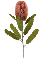 Een enkele stengel van de Kunstbloem Banksia 65 cm oudroze heeft een grote, roze, cilindervormige bloem en lange, gekartelde groene bladeren die afsteken tegen een witte achtergrond.