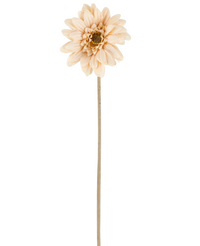 Een enkele Kunstbloem Mini Gerbera in crème/bruin, met gelaagde bloemblaadjes en een lange, dunne steel van 47 cm, gecentreerd tegen een witte achtergrond.