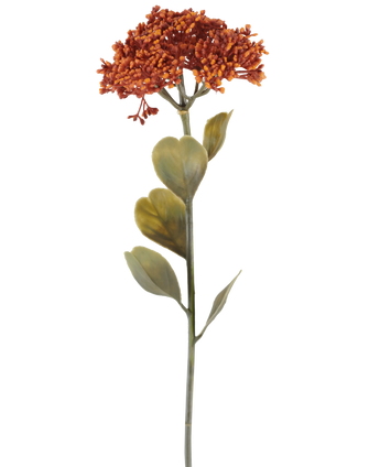 Een enkele Kunstbloem Sedum van 46 cm in verweerd oranje, met trossen kleine roodoranje bloesems en enkele groene blaadjes, afgebeeld op een witte achtergrond.
