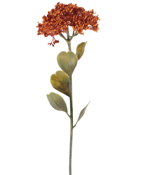 Een enkele Kunstbloem Sedum van 46 cm in verweerd oranje, met trossen kleine roodoranje bloesems en enkele groene blaadjes, afgebeeld op een witte achtergrond.