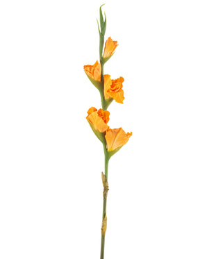 Kunstig Gladiol Oransje 83 cm oransje