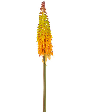 Kunstig Fakkelblomst Grønn/Gul 80 cm
