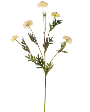 Kunstig Scabiosa Stilk Krem/Rosa 69 cm (sett med 6)