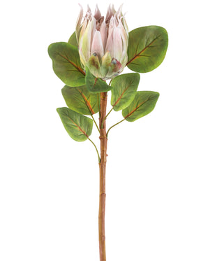 Kunstig Protea Stilk Lys Rosa 65 cm