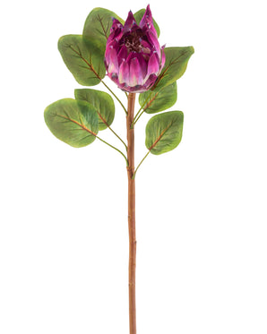 Kunstig Protea Stilk Lilla 65 cm