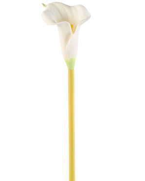 Kunstig Kala Stilk Krem 64 cm
