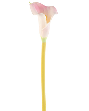 Kunstig Kala Stilk Lys Rosa 64 cm