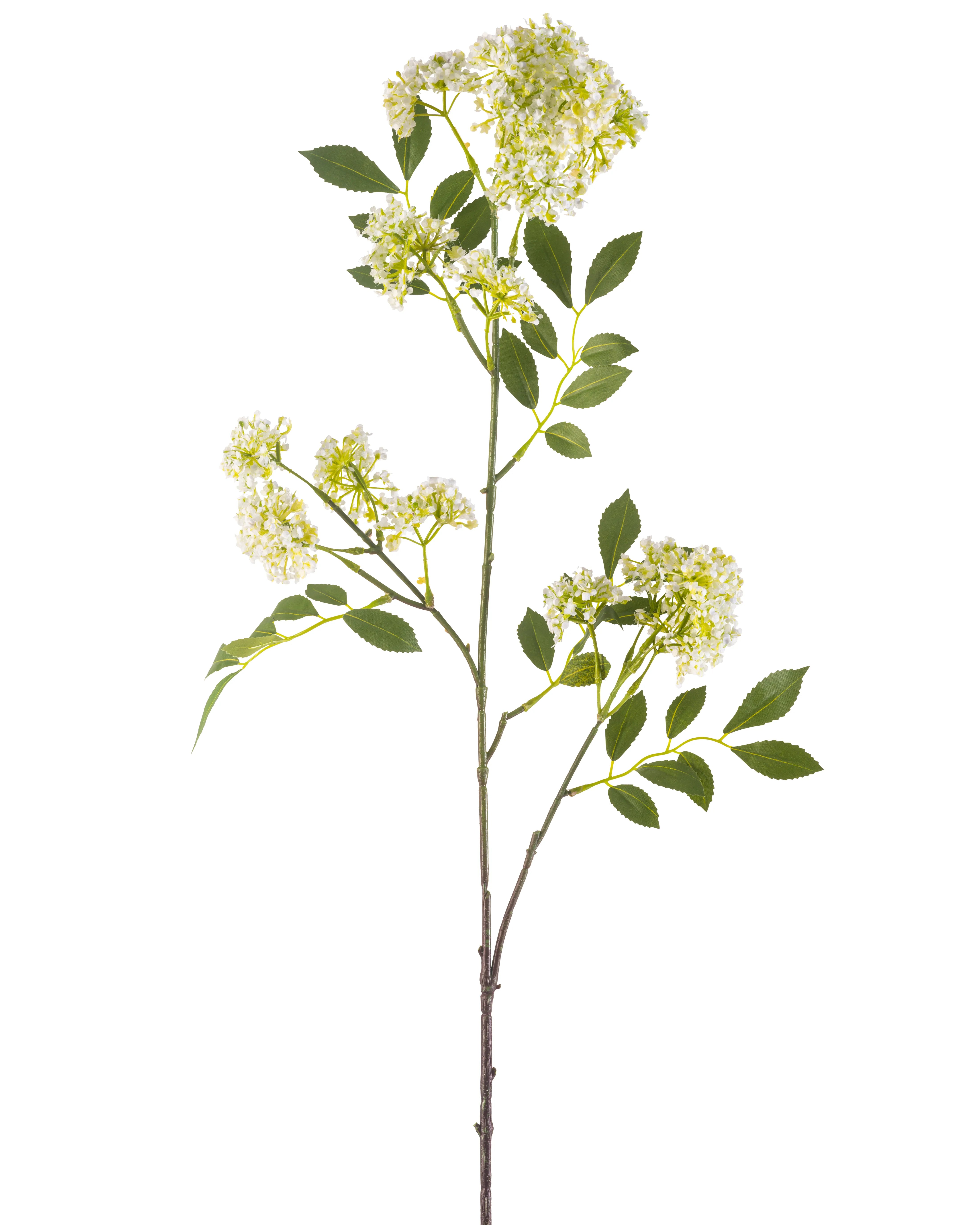 Kunstig Viburnum Gren Krem 102 Cm Ambiplants no kunstig-viburnum-gren-krem-102-cm-ambiplants-no