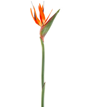 Kunstig Strelitzia Reginae Stilk Korall 99 cm