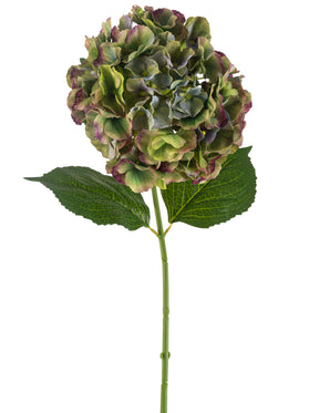 Kunstig Hortensia Magical Grønn 75 cm