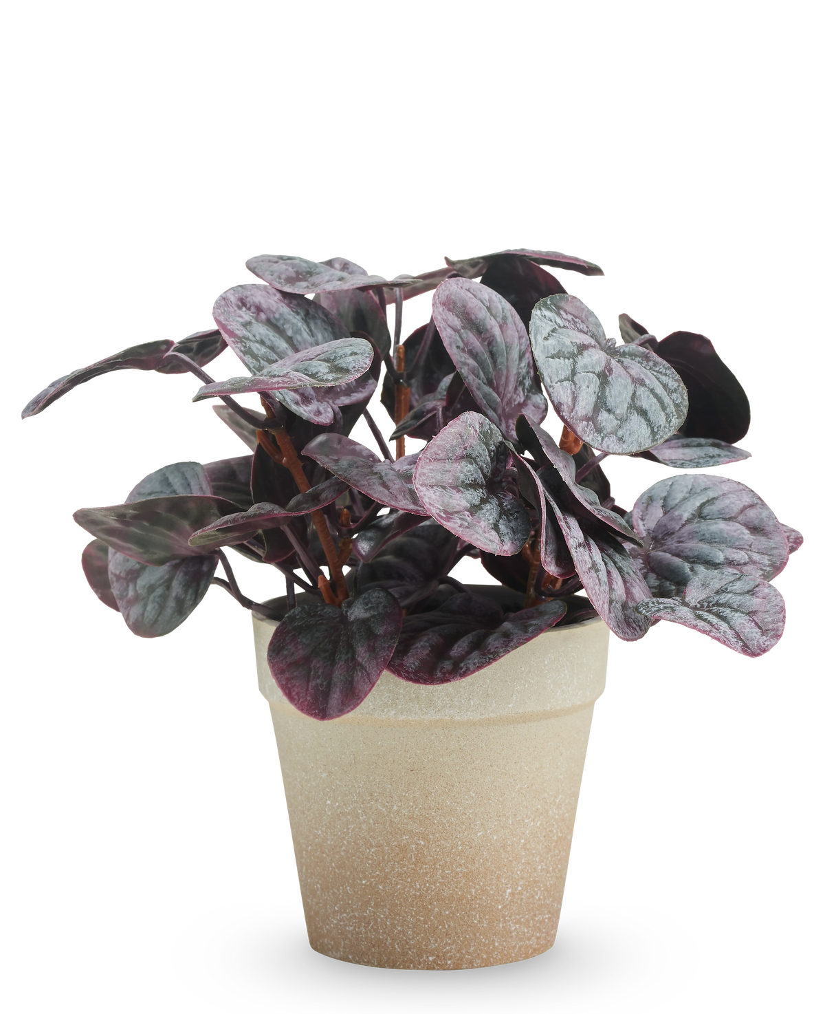 De Kunstplant Rugose blad 21 cm grijs heeft donkerpaarse en groene bonte bladeren in een lichtbruine pot met structuur, gepresenteerd tegen een effen witte achtergrond.