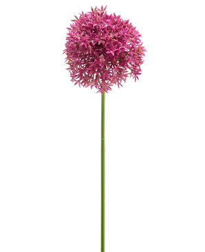 De Kunstbloem Mini Allium 60 cm mauve heeft een lange groene steel met daarboven een grote, bolvormige tros van kleine mauve stervormige bloemen, afgebeeld tegen een witte achtergrond.