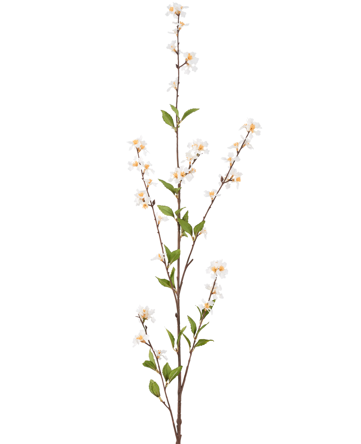De Kunstbloem Bloemen 119 cm crème heeft een enkele hoge tak met crèmekleurige bloemen en groene bladeren langs de slanke bruine stelen, tegen een effen witte achtergrond.