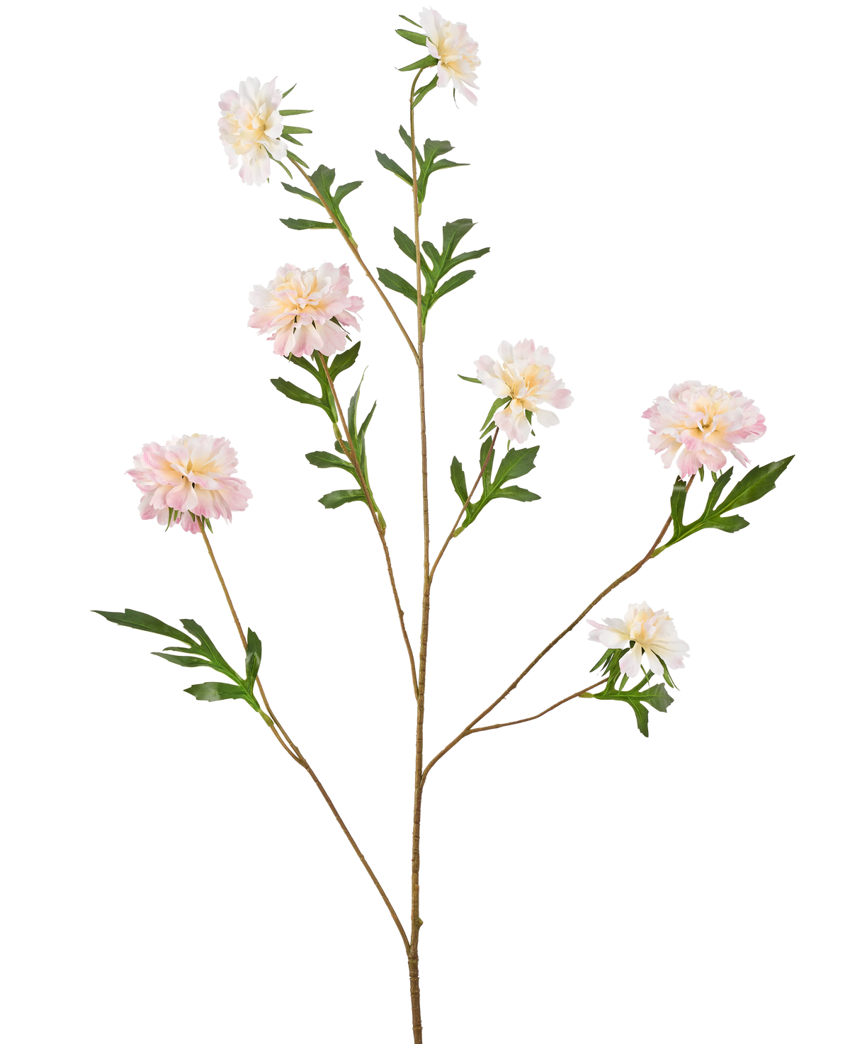 De Kunstbloem Korenbloem 112 cm lichtroze heeft een lange, dunne steel met verschillende takken, elk met lichtroze pioenachtige bloemen en groene bladeren, tegen een effen witte achtergrond.