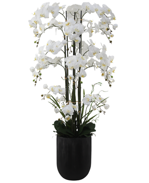 Eksklusiv Kunstig Phalaenopsis Real Touch Orkidé Hvit 150cm