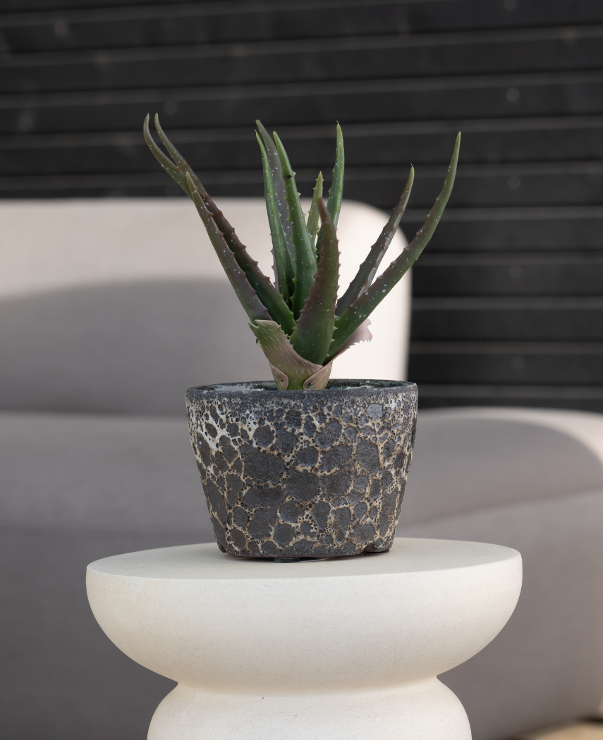 Kunstig Agave Plante UV 35 cm