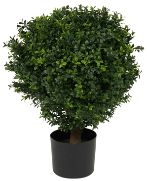 Kunstig Buksbom Ball På Stamme Romerstil UV 55cm