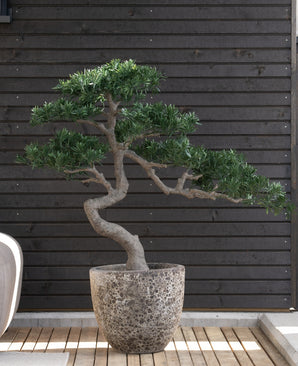 Kunstige Bonsai Podocarpus UV 90 cm