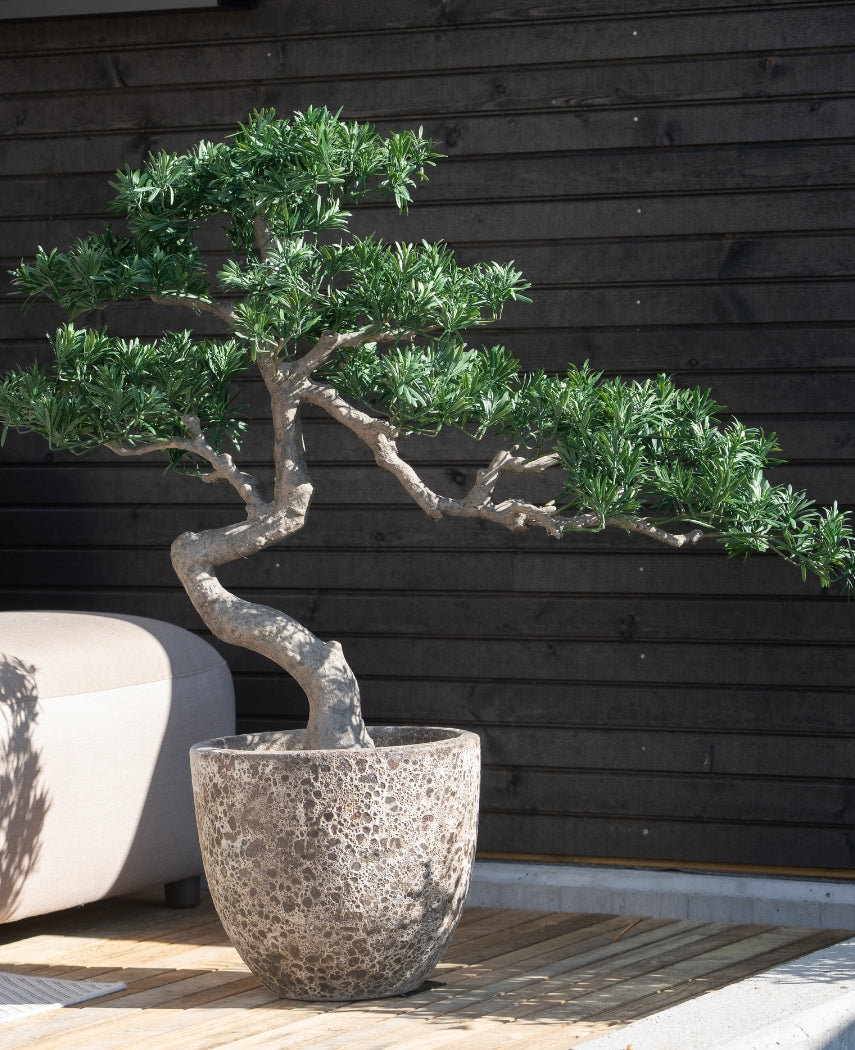 Kunstige Bonsai Podocarpus UV 90 cm