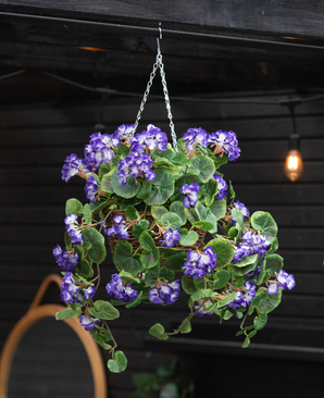 Kunstig Begonia Lilla i Kurv UV 70 cm