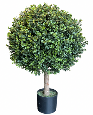 Kunstig Plante Buksbom D50 cm UV