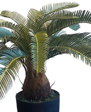 Kunstig plante Cycas 60 cm UV