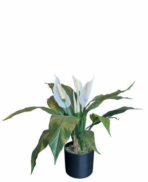 Kunstig Spathiphyllum Fredslilje 50 cm