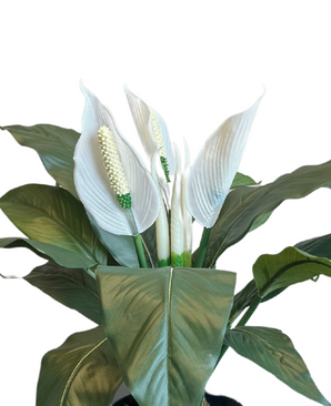 Kunstig Spathiphyllum Fredslilje 50 cm