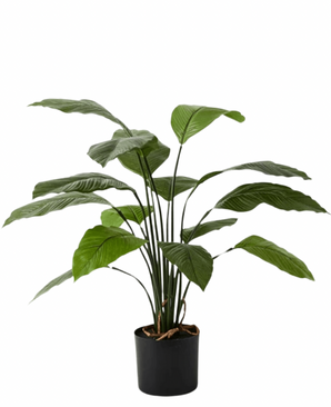 Kunstig Spathiphyllum Fredslilje 80 cm