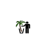 Montering av plante Vårt lager