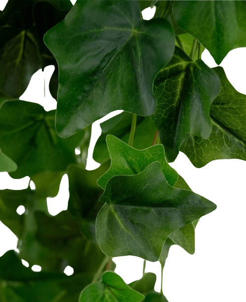 Close-up van Kunst Klimop 105 cm groen: weelderig groene kunstmatige klimopbladeren met zichtbare nerven en een licht glanzende textuur, die elkaar overlappen tegen een witte achtergrond.