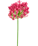 Kunstig Agapanthus Staude Rosa 75cm